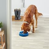 Anti-Schling-Fressnapf