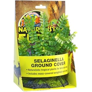 Zoo Med BU-43E Selaginella Kunststoffpflanze zur Dekoration im Terrarium