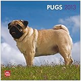 Pugs 2013 - Möpse - Original BrownTrout-Kalender by