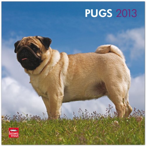 Pugs 2013 - Möpse - Original BrownTrout-Kalender