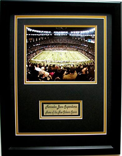 NFL New Orleans Saints The Superdome Picture Frame, Medium, Black