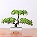 Produktbild künstliche Bonsai Künstliche Bonsai-Baum Pflanzen Dekoration 2018 Home Hochzeit Lucky Dekoration Deko Pflanze,Feng Shui Deko,Japanischer Pinien,Höhe ca. 20 cm,Green, 1001a