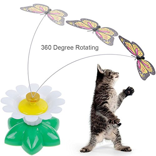 interactive butterfly cat toy