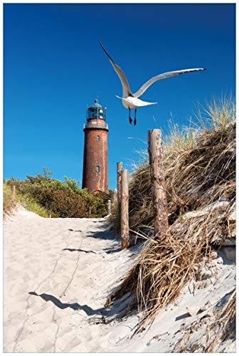 Wallario Poster - Möwe am Strand mit Leuchtturm in Premiumqualität, Größe: 61 x 91,5 cm (Maxiposter)