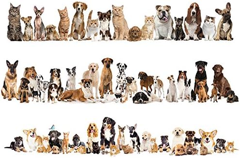 2018 Newest Cats Baseboard Wall Stickers Dog Wall PVC Wall Decals/Adhesive Art Wallpaper Animals Party Home Decoration DIY Removable,01