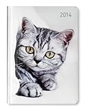 Ladytimer Cat 2014 by