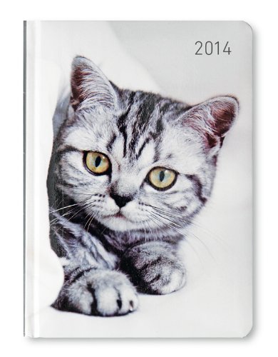 Ladytimer Cat 2014