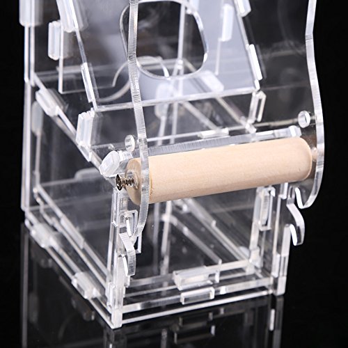 Comederos Autom  ticos para p  jaros Alimentador de p  jaros Acr  lico transparente Accesorios de jaula de loro