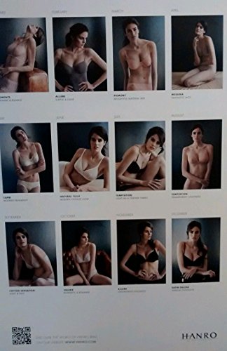 Preisvergleich Produktbild © HANRO *** SCHWEIZ *** UNTERWÄSCHE EROTIK KALENDER *** 2015 *** NICHT IM HANDEL ERHÄLTLICH *** HEISS + STRENG LIMITIERT *** EROTIK - EROTIC - EROTICA - KALENDER - CALENDAR - CALENDRIER - CALENDARIO - FOTOKALENDER - WANDKALENDER ***