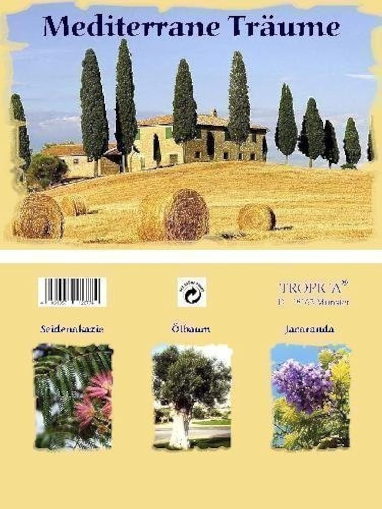 Mini-Gewächshaus - Mediterrane Träume - mit Samen vom Ölbaum, Jacaranda und Schlafbaum