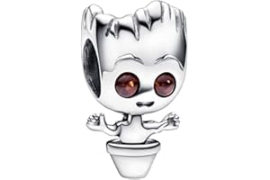 JAHN JEWELLERY Jahn Charms For Bracelets Compatible With Pandora Charms and Bracelets, S925 Charms Gifts For Her