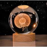 Coverzone Glass Globe Illuminated Eye-Tiring Dandelion Motif Desktop Lighting Night Light Decorative Children's Room Living Room Bed
