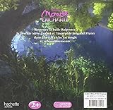 Image de Raiponce, DISNEY MONDE ENCHANTE