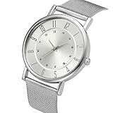 Webla Armbanduhr Uhr für Weibliche Studenten Mädchen Damen Uhrenarmband dünne Edelstahl Band-analoge Quarz Uhr (Silber)