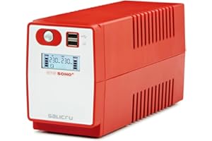 Onduleur Salicru SPS 650 Soho+ 650VA (Prise FR)