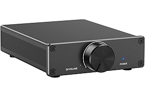 ESKEVE Mini wzmacniacz, 300 W × 2 Stereo HiFi wzmacniacz z chipem TPA3255 i wymiennymi ampami Op, innowacyjna konstrukcja odprowadzania ciepła, wzmacniacz audio klasy D z regulacją głośności, zasilanie 32 V