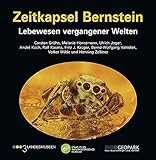 Image de Zeitkapsel Bernstein – Lebewesen vergangener Welten
