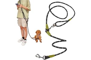 AXROAD MALL Laisse Mains Libres pour Chien pour la Course à Pied, la Marche, Le Dressage, 1,2 cm d'épaisseur, en Nylon réfléchissant très résistant pour Chiens de Petite, Moyenne et Grande Taille (Noir)