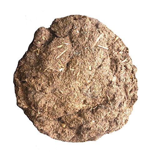 Discount4Product Fengshui Vastu religiosa dios Idol Puja cristal productos para buena suerte y la riqueza o decoración, metal, multicolor, cow gober for havan