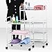 tinxs® Beauty Salon 3/4 Shelf Mini Side Trolley Therapy Dentist Hairdresser ( 4 Shelf)
