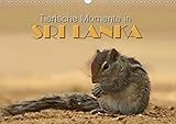 Sri Lanka - Tierische Momente (Wandkalender 2017 DIN A3 quer): Dieser Kalender gibt einen Einblick in die Tierwelt Sri Lankas (Monatskalender, 14 Seiten ) (CALVENDO Natur) by
