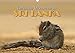 Sri Lanka - Tierische Momente (Wandkalender 2017 DIN A3 quer): Dieser Kalender gibt einen Einblick in die Tierwelt Sri Lankas (Monatskalender, 14 Seiten ) (CALVENDO Natur) by