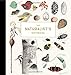 The Naturalist's Notebook: An Observation Guide and 5-Year Calendar-Journal for Tracking Changes in the Natural World Around Us by 