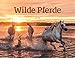Wilde Pferde 2018 by Ackermann Kunstverlag