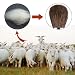 ZaKitane Makeup Brushes,Wooden Handle Professional Goat Hair Pony Hair Makeup Brush Set,Portable Cosmetic Brush,Make Up Brush Kit,6 pcs (Black)