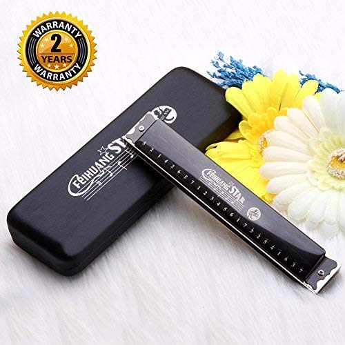 Armónica con 24 agujeros en C para principiantes - Diatónica - Trémolo doble - Incluye funda - Color negro