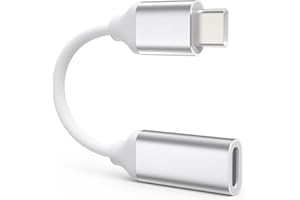 TechMatte Adapter kablowy Lightning na USB C, 4 cale PD, szybkie ładowanie, kompatybilny z iPhone 15/Plus/Pro Max i innymi urządzeniami typu C, 1 sztuka, srebrny