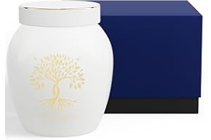 HAUYEST Small Urns For Human Ashes,Mini Cremation Urn with Tree of Life Pattern,Ceramic Urns for Human Pet Ashes with Exquisite Box (White)