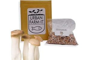 URBAN FARM-IT Urban Farm It - Mushroom Oyster Spawn (King - Pleurotus Ernygii), Easy to Use and Fast Growing (100ml)