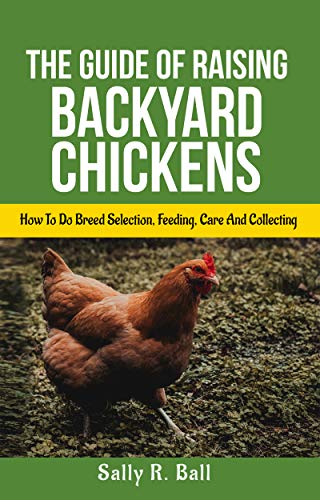 The Guide Of Raising Backyard Chickens How To Do Breed Selection