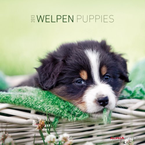 Welpen, Broschürenkalender 2013