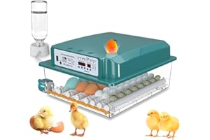 PNETERG 36/120 Incubatrice Uovo Automatico, Uova Incubatrice per Uova Di Pollame, Silenziatore Incubatrice Uovo Automatico, Incubatrice Con Coperta Calda (36)