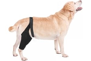 DONGKER Kniebandage für Hunde, Verstellbare Hunde-Kniestütze für alle Gliedmaßen, Neopren Hunde Ellenbogenbandage Protektor mit 2 Metall Federstabilisatoren
