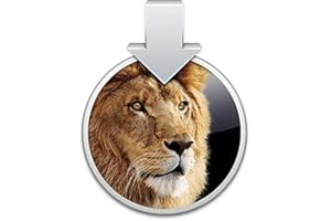 D-S Systems Clé d’Installation Compatible avec Mac OS X Lion 10.7 USB (Clé) d'installation Amorçable Récupération Bootable USB - Installation/Update/Downgrade