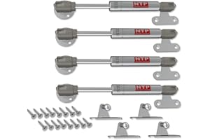 GLOBSTAR Pistone a Gas Braccetto Braccio Anta a Ribalta Ammortizzatore Versione Corta (4x 120N)