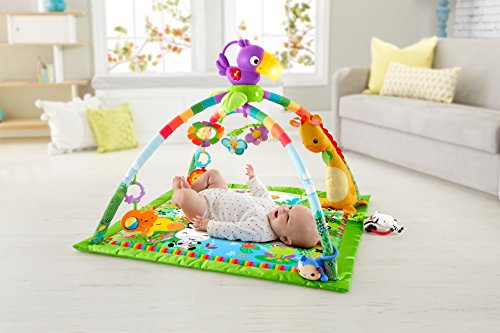 Mattel Fisher-Price DFP08 Rainforest Erlebnisdecke mit farbenfrohen Motiven - 4