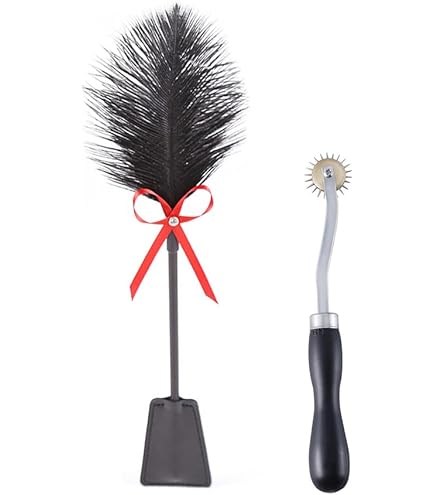 Bad Kitty Feder schwarz - verfhrerische Feder-Peitsche fr zarte Massagen,  erotische Rollenspiele, elegante Federpuschel-Gerte fr Paare, schwarz :  Amazon.de: Drogerie & Krperpflege