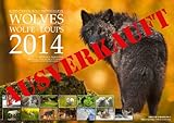 Wölfe 2014 Kalender Lupinity Wolves Loups A3 Wolfskalender [Limitiert] by 