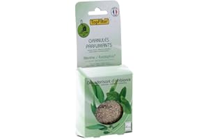 TopFilter 0720150 Sachets de granulés parfumants pour aspirateur Senteur Menthe/Eucalyptus, granulés de Senteur pour aspirateur avec et sans Sac Odeur Menthe et Eucalyptus, Vert