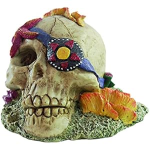 Haquoss Koral Skull 2, 15x 12x 11h cm