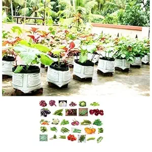 Eg Elamgreen Grow Bags For Plants 16X16X30 Cm/ 30 Bags/Grow Bags For Gardening/Free 30 Variety Vegetable Seeds For Plants