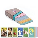 50 Bildkarten von Tieren in 5 Farbkategorien zur Sprachförderung