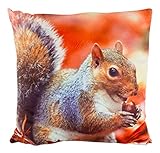 bella casa Dekokissen mit Fotodruck, Eichhörnchen, 40 x 40 cm