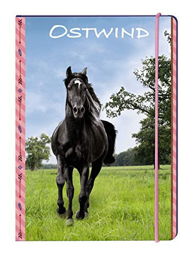 Preisvergleich Produktbild Ostwind - Frühjahr 2019: Sammelmappe A4