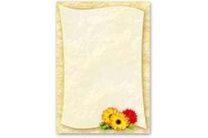 50 fogli di carta da lettera decorati Fiori & Petali GERBERA DIN A5 - Paper-Media