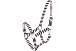 START ENJOY THE RIDE Cavezza per cavalli e pony Start Economic Cinghia | Cavezza regolabile (Cob, Marrone/Avorio/Petrolo)